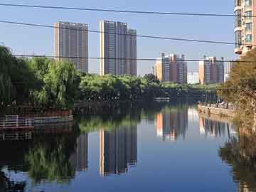 杨树价格行情深度剖析，把握市场趋势，制定应对策略